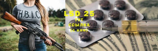 бошки Тавда