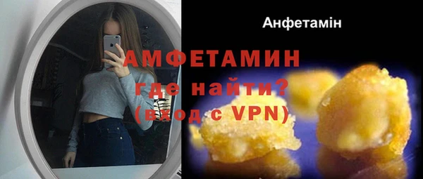 прущие грибы Верея
