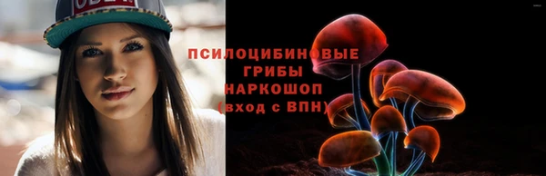 прущие грибы Верея