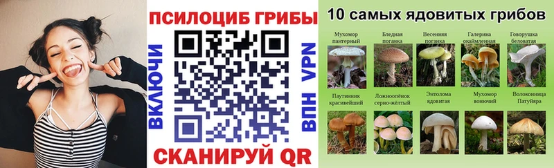 закладки  Нариманов  Галлюциногенные грибы Cubensis 
